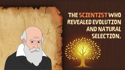 Darwin - A Journey of Discovery
