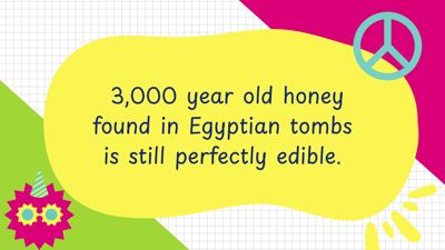 Facts That Make You Say WHOA!
