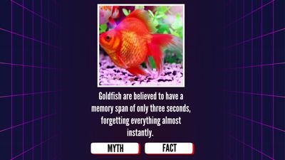 Facts or Myths? Let's find out!