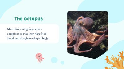 Ocean Facts Trivia Quiz
