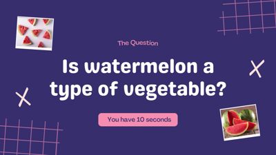 Yes or No Game