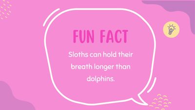 Fun Facts with Edumento