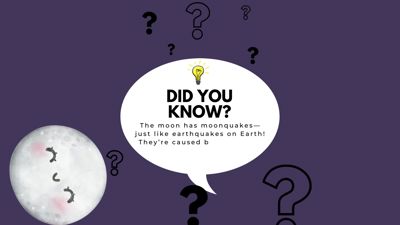 Tiny Facts, Big WOW!