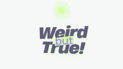 Weird but True Facts